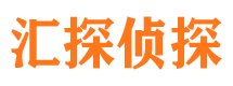 桑植寻人公司